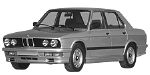 BMW E28 C252D Fault Code